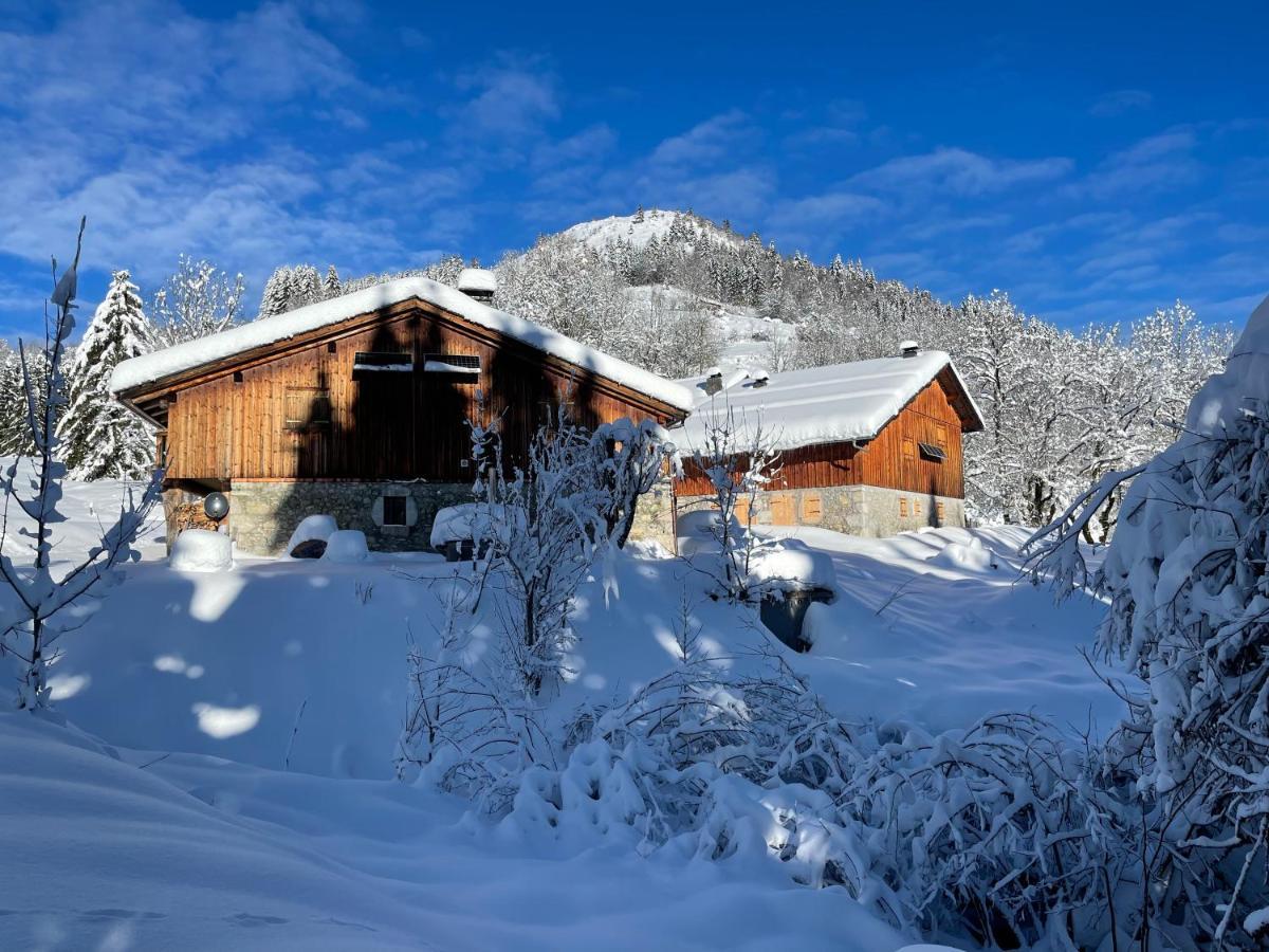 Chalet Alpage Proche Geneve Mégevette Exterior foto